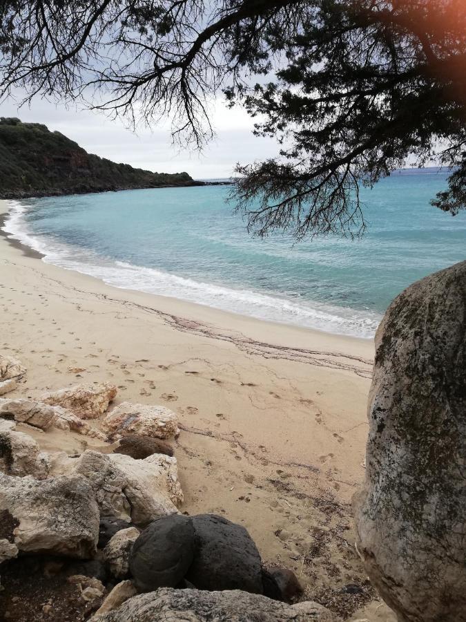 Appartamenti Le Conchiglie E Le Stelle Marine Cala Gonone Exterior photo