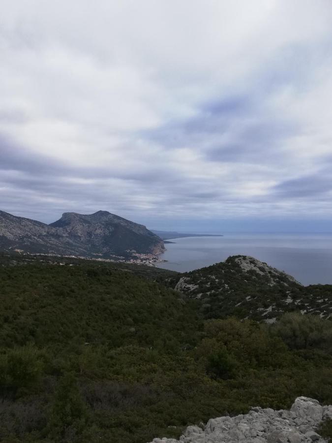 Appartamenti Le Conchiglie E Le Stelle Marine Cala Gonone Exterior photo